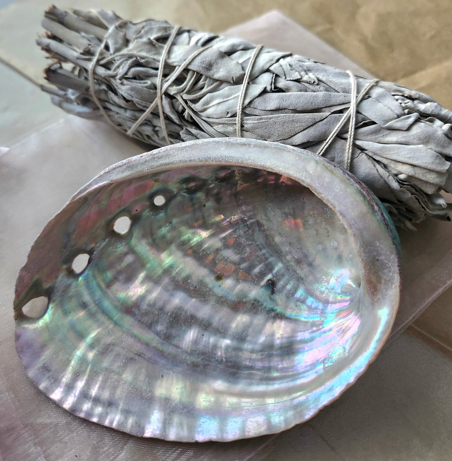 Sage Abalone Shell Smudge Bundle