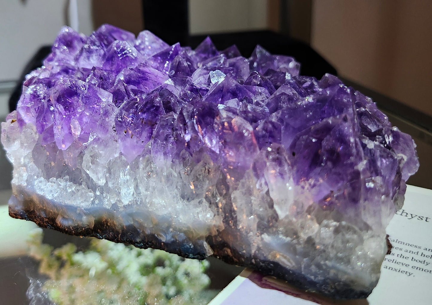 Rare Amethyst Cluster